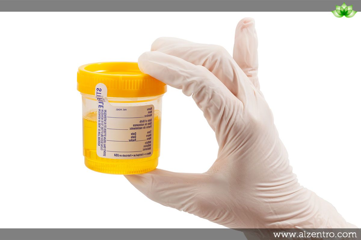orina salud