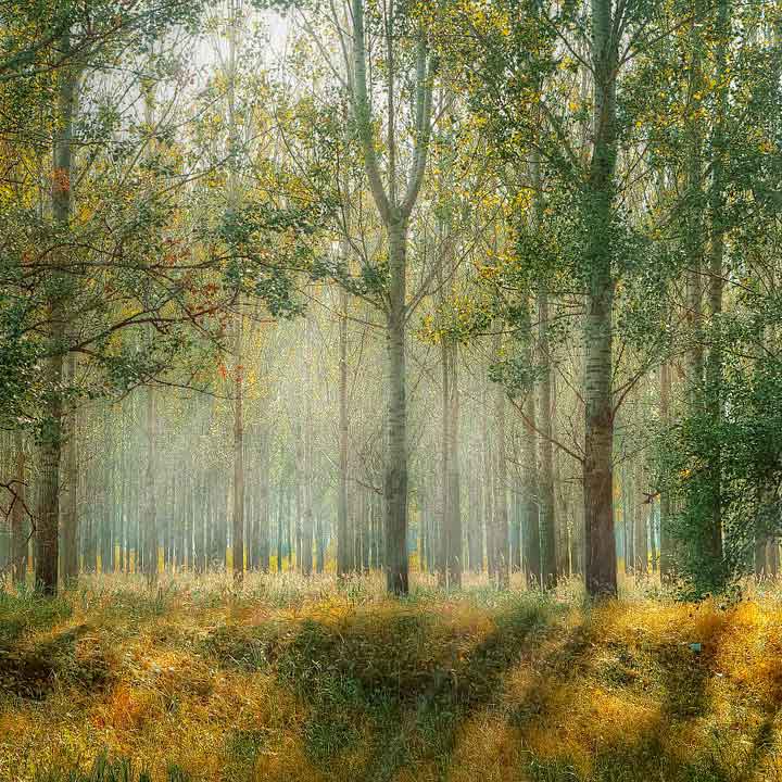 naturaleza