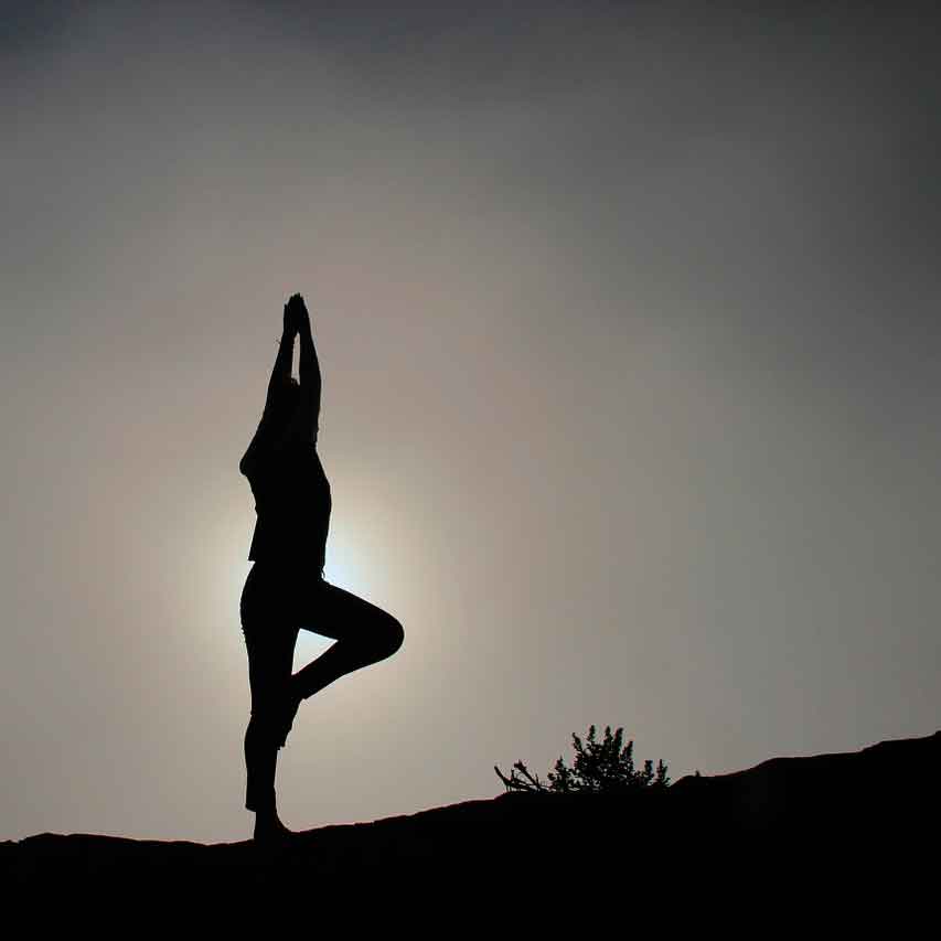 yamas niyamas yoga