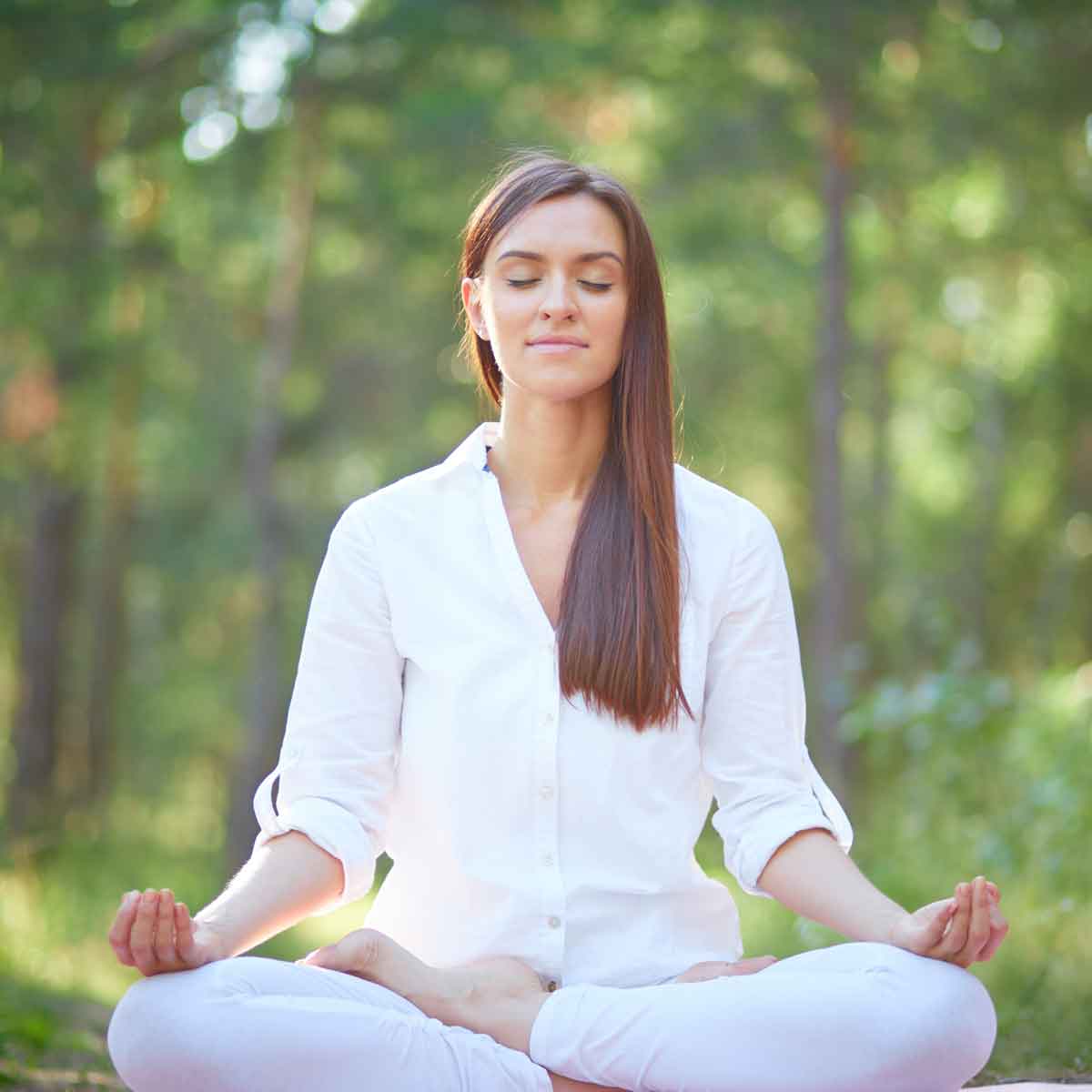 Tipos de meditación